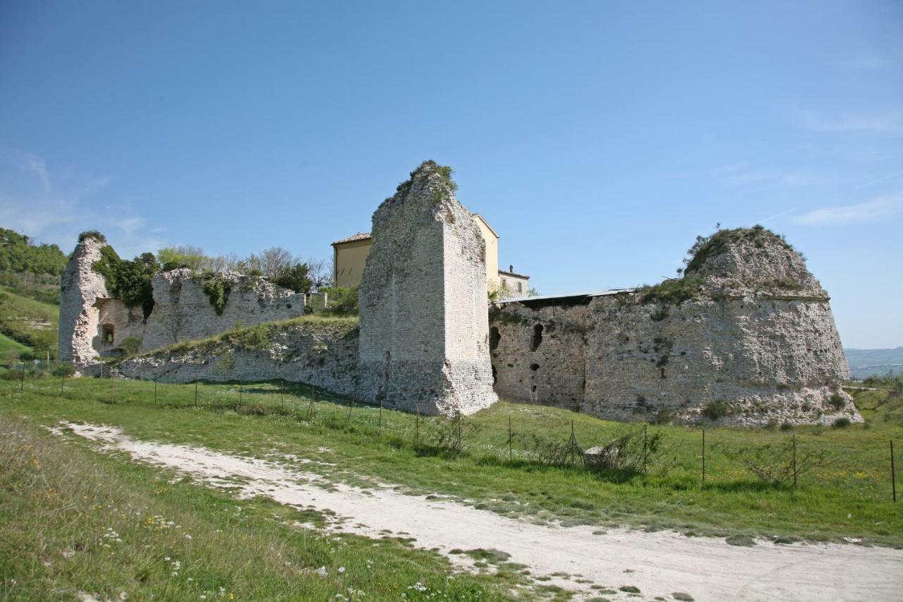 Il Cavallino Fossombrone Bagian luar foto